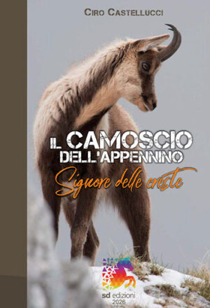 IL CAMOSCIO DELL'APPENNINO - Signore delle Creste